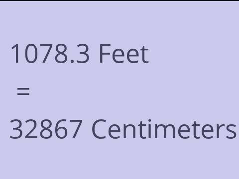 1078.3 FEET TO CM