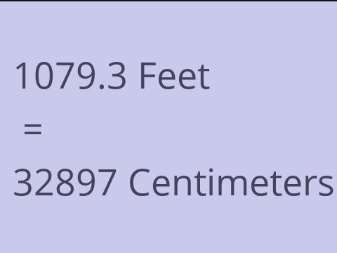 1079.3 FEET TO CM