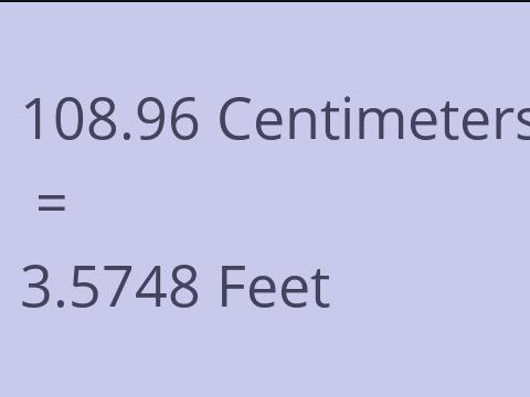 108.96 CM TO FEET