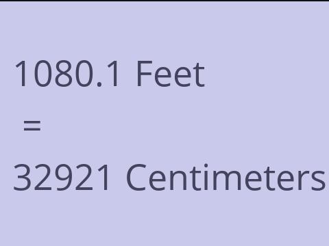 1080.1 FEET TO CM