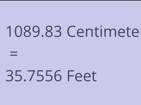 1089.83 CM TO FEET