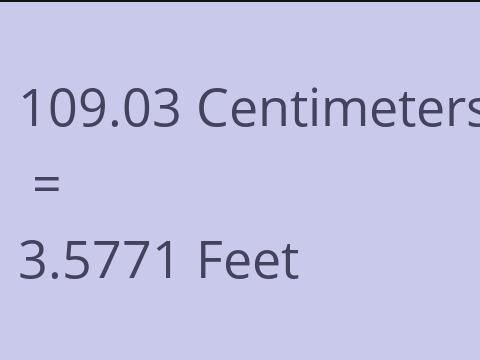 109.03 CM TO FEET