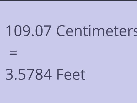 109.07 CM TO FEET