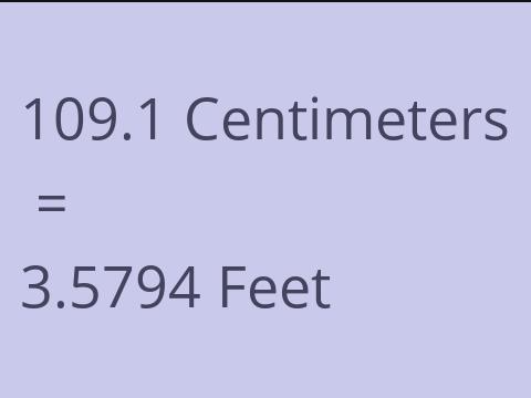 109.1 CM TO FEET