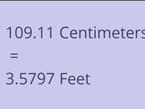 109.11 CM TO FEET