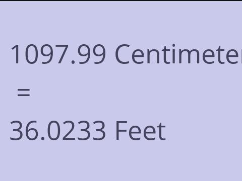 1097.99 CM TO FEET