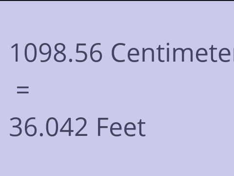 1098.56 CM TO FEET