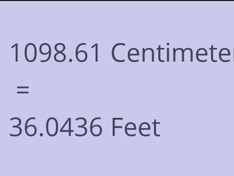 1098.61 CM TO FEET