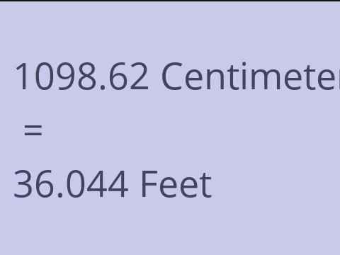 1098.62 CM TO FEET