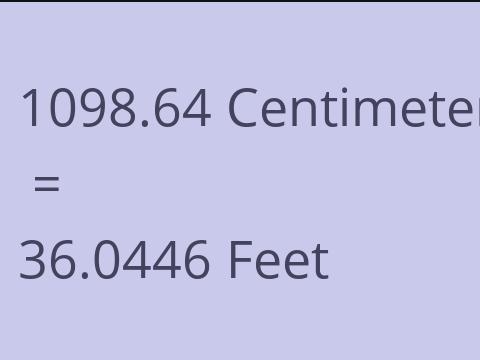 1098.64 CM TO FEET