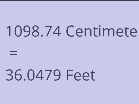 1098.74 CM TO FEET