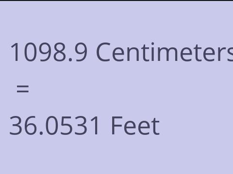 1098.9 CM TO FEET