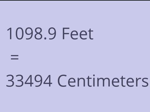 1098.9 FEET TO CM