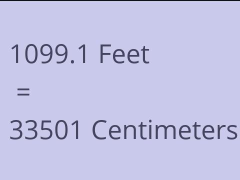 1099.1 FEET TO CM