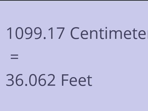 1099.17 CM TO FEET