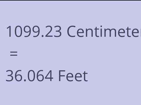 1099.23 CM TO FEET