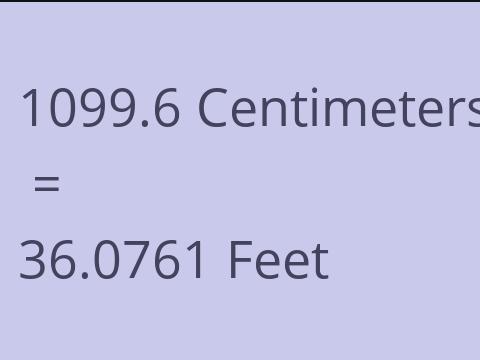 1099.6 CM TO FEET