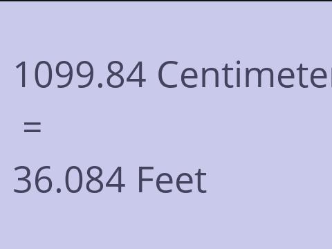 1099.84 CM TO FEET