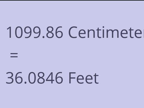 1099.86 CM TO FEET