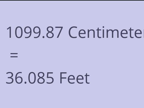 1099.87 CM TO FEET