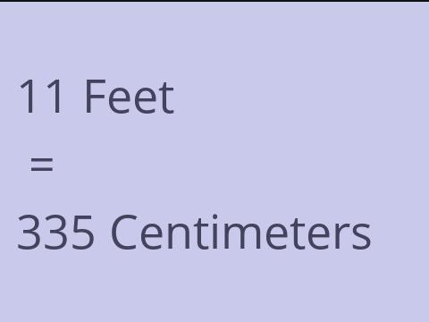 11 FEET TO CM