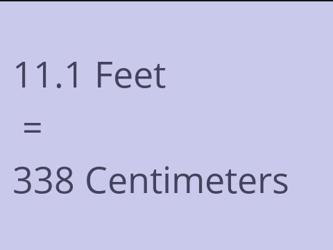 11.1 FEET TO CM