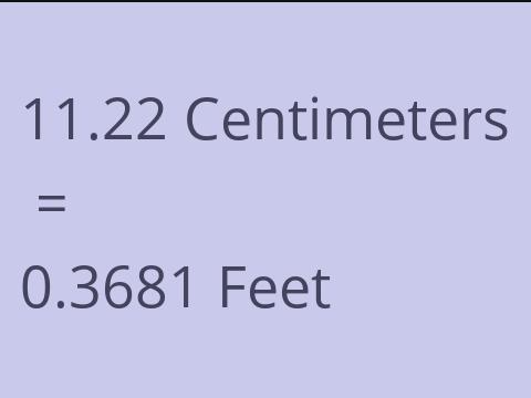 11.22 CM TO FEET