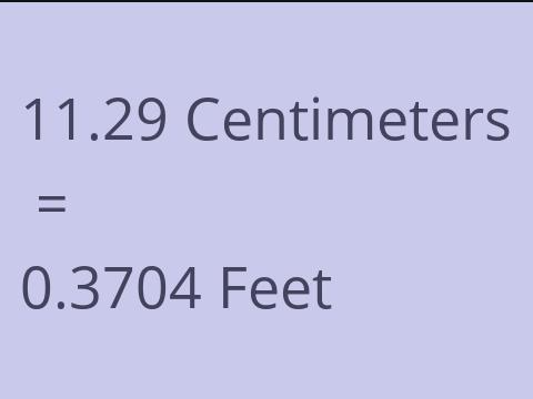 11.29 CM TO FEET