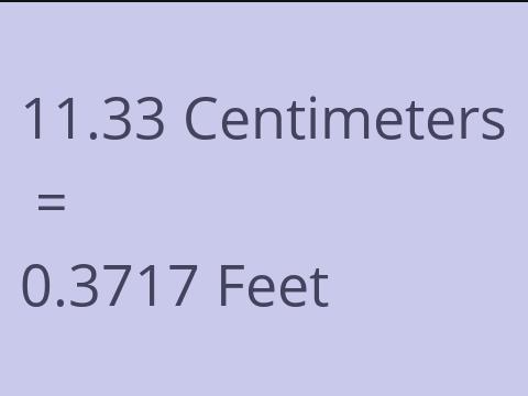 11.33 CM TO FEET