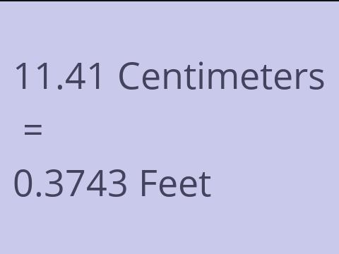 11.41 CM TO FEET