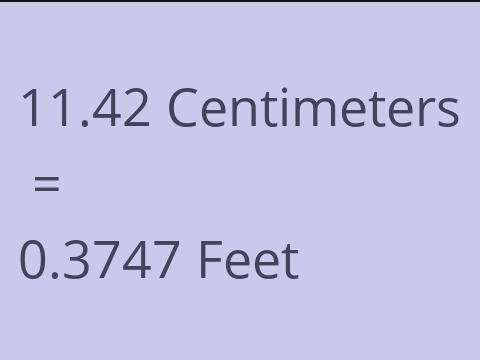 11.42 CM TO FEET