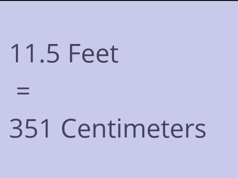 11.5 FEET TO CM