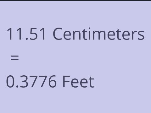 11.51 CM TO FEET