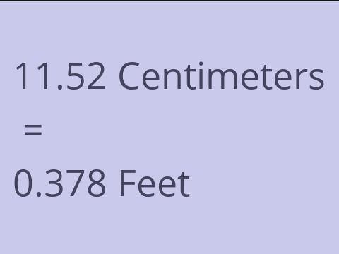 11.52 CM TO FEET