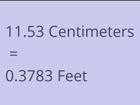 11.53 CM TO FEET