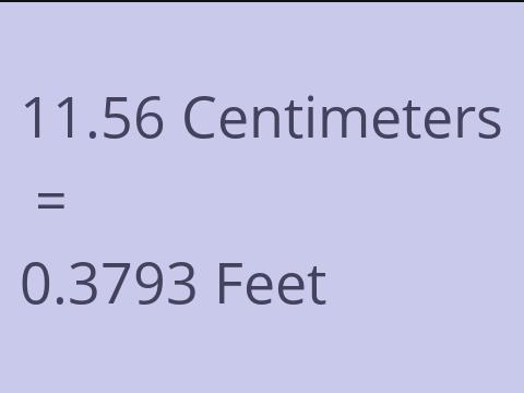 11.56 CM TO FEET