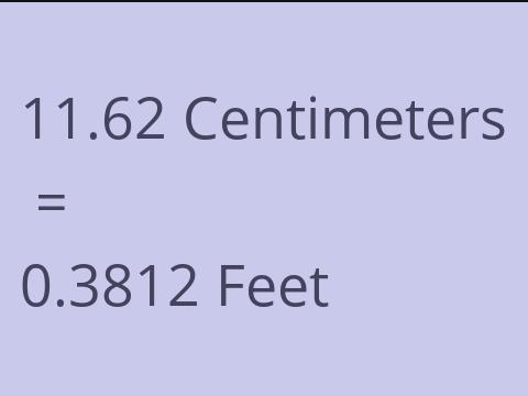 11.62 CM TO FEET