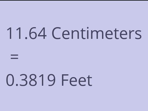 11.64 CM TO FEET