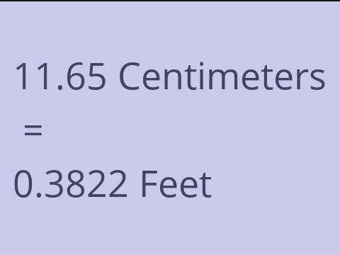 11.65 CM TO FEET