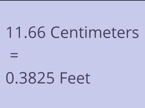 11.66 CM TO FEET