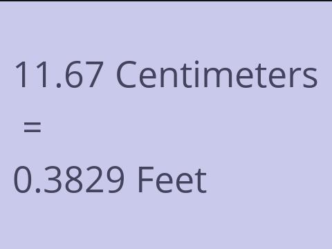 11.67 CM TO FEET