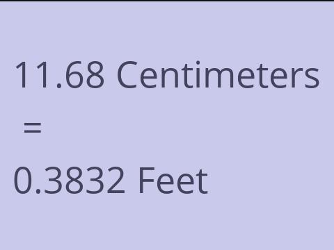 11.68 CM TO FEET