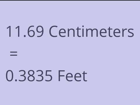 11.69 CM TO FEET