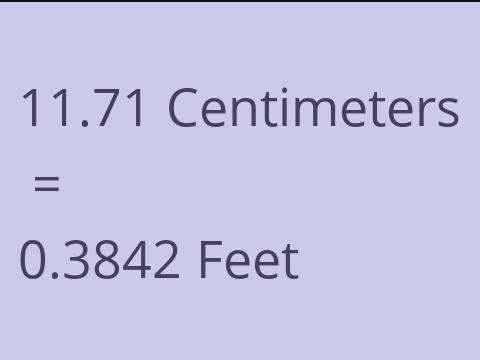 11.71 CM TO FEET