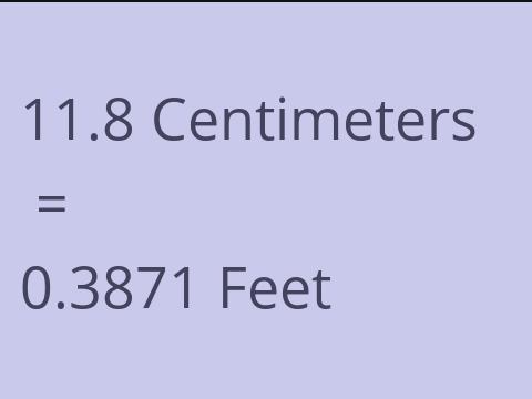 11.8 CM TO FEET