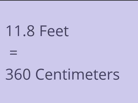 11.8 FEET TO CM