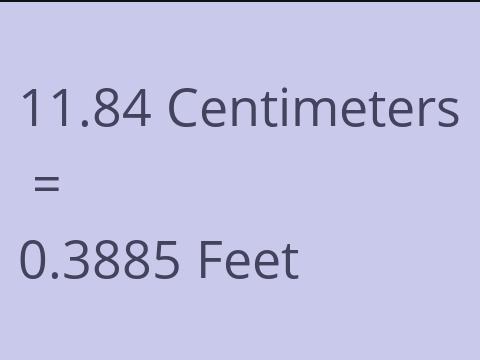 11.84 CM TO FEET