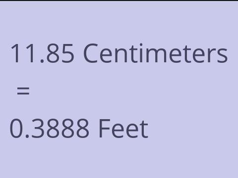 11.85 CM TO FEET