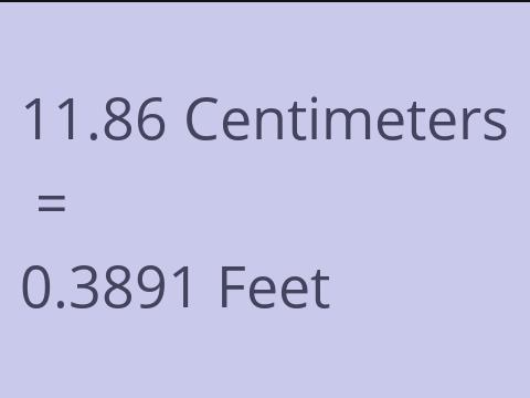 11.86 CM TO FEET