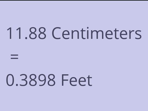 11.88 CM TO FEET